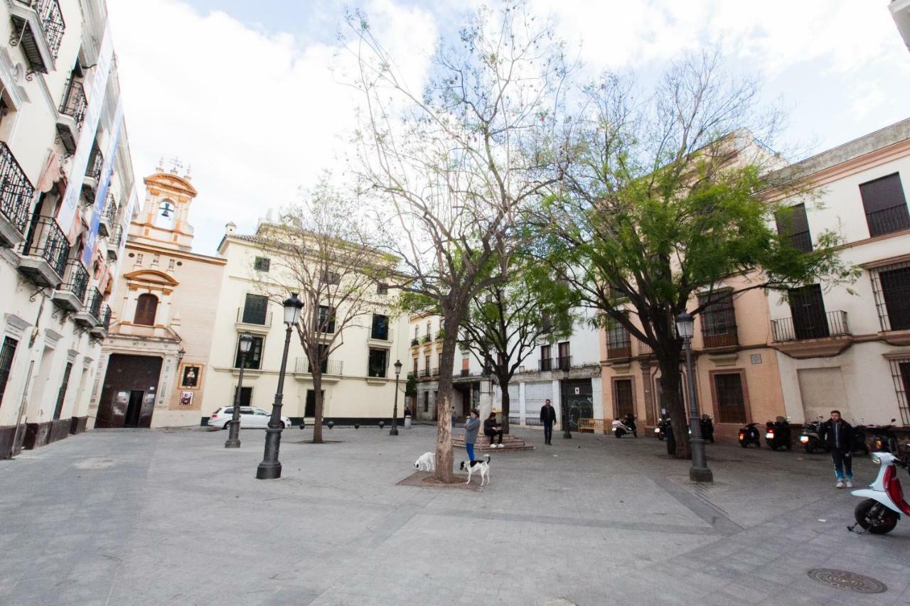 Gotoseville Molviedro Appartamento *